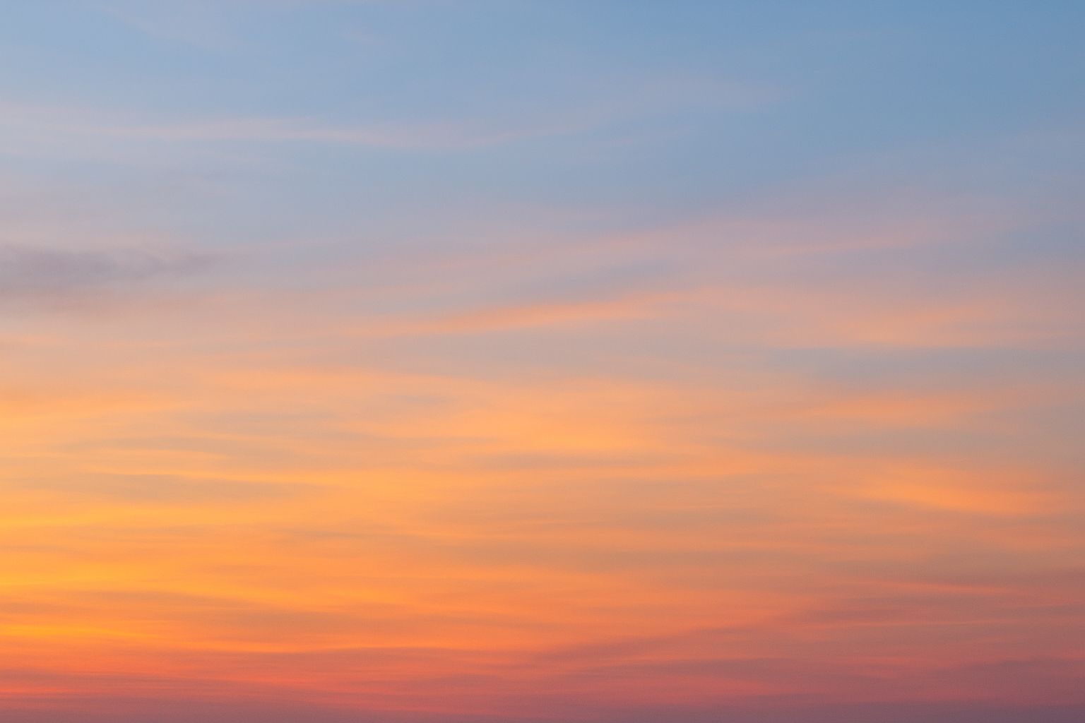 Job World background 1